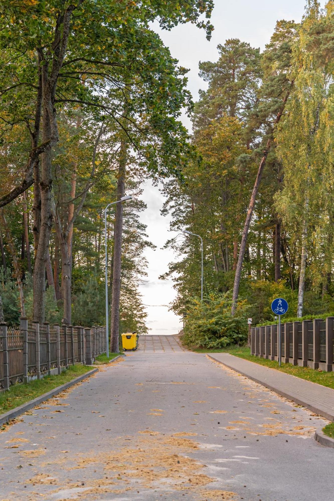 Peaceful 1-Bedroom Apartment In 100M From Beach, Free Street Parking, Near Forest Park Jūrkalne Værelse billede